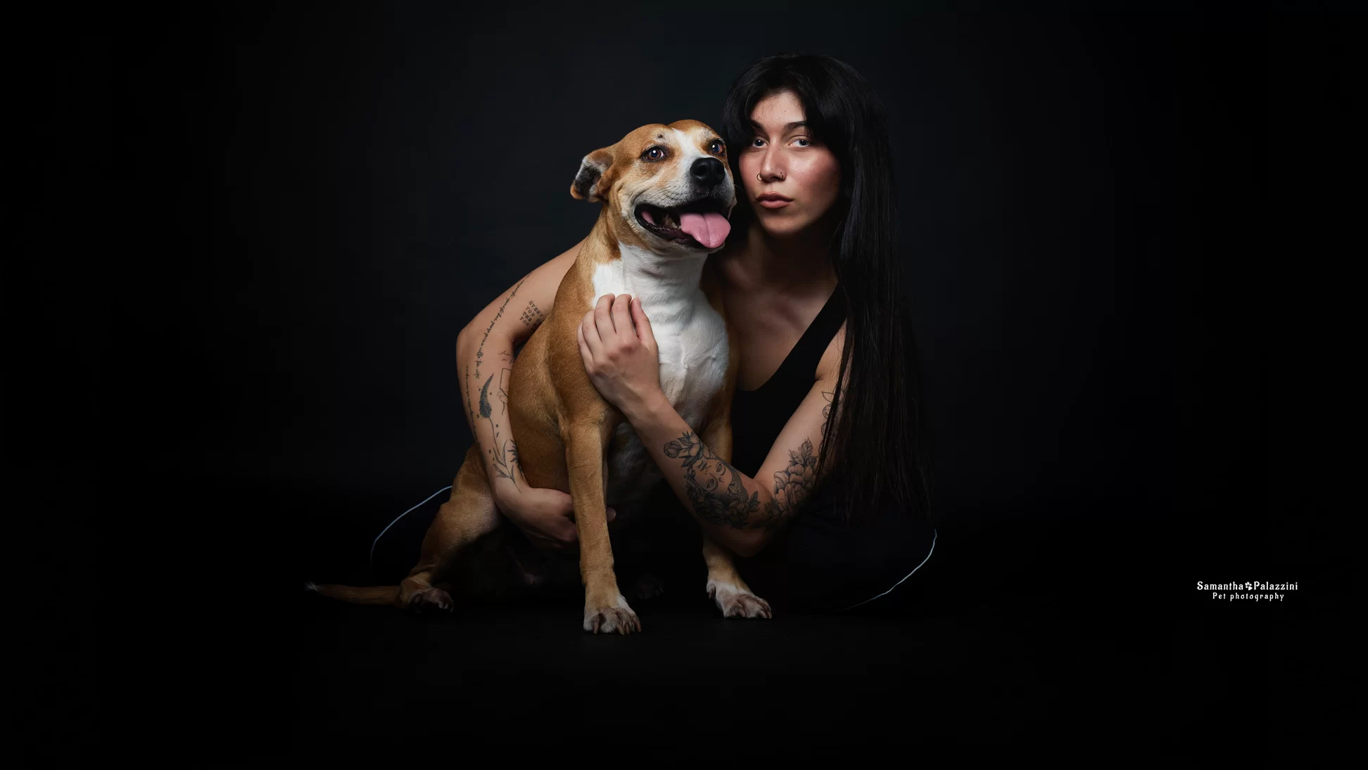 Cane di razza Amstaff, durante un servizio fotografico per cani in studio, amore tra cane e proprietario, Simbiosi