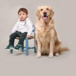 Cane di razza Golden retriver con bambino, durante un servizio fotografico in studio, per cani