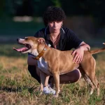Cane di razza Amstaff, durante un servizio fotografico per cani, amore tra cane e proprietario