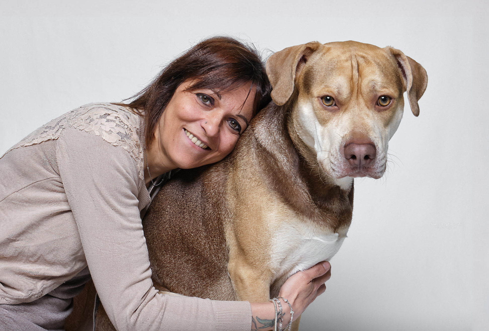Foto di un cane meticcio, durante un servizio fotografico con la famiglia, a domicilio